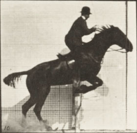 Plate 638 'Daisy' jumping a hurdle, saddled — figure reference